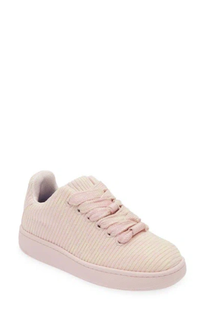Burberry Knit Sneaker In Cameo Ip Check