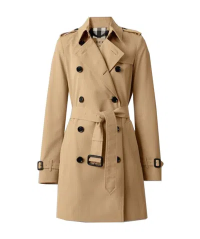 Burberry Lapel Strap Button Windbreaker In Brown