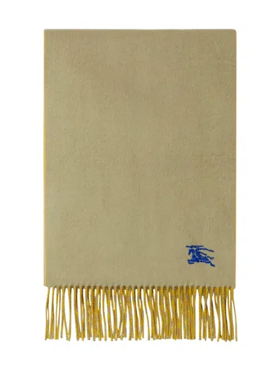 Burberry Reversible Cashmere Scarf In Hunter Pear