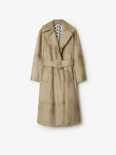 Burberry Belted Goat Shearling Trench Coat In Field