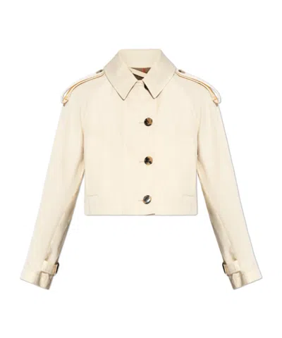 Burberry Long-sleeved Short Trench Coat Jacket In Brown