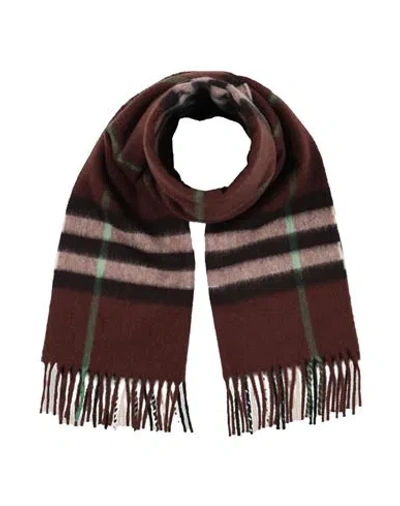Burberry Man Scarf Cocoa Size - Cashmere In Green