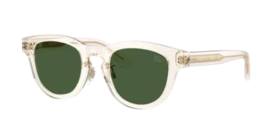 Burberry Acetate Be4477 Phantos Sunglasses In Green
