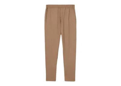 Pre-owned Burberry Men's  Side Stripe Sweatpants In Brown/blue In Multi