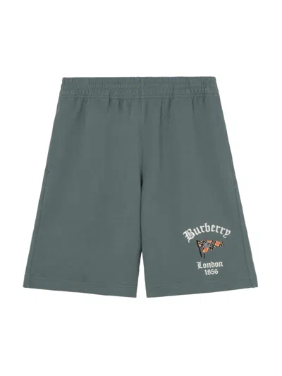 Burberry Men's Rick Check Flag Cotton Shorts In Blue