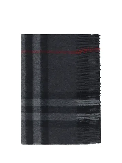 Burberry Men Scarf