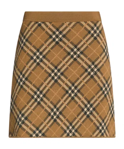 Burberry Mini Skirts In Brown