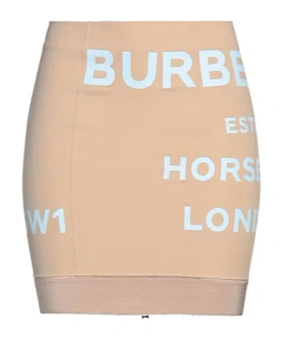 Burberry Mini Skirts In Brown