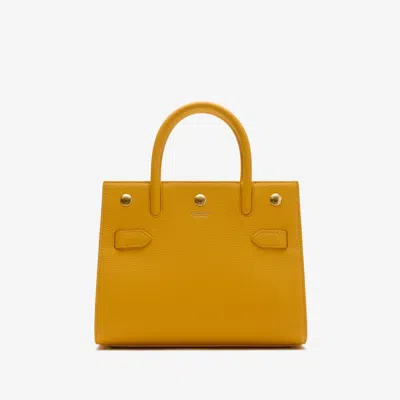 Burberry Mini Title Bag In Yellow
