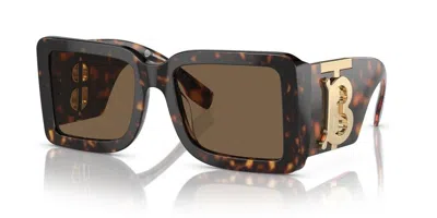 Burberry Square Acetate Sunglasses In Brown