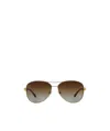 Burberry Multicolor Logo Sunglasses In Brown
