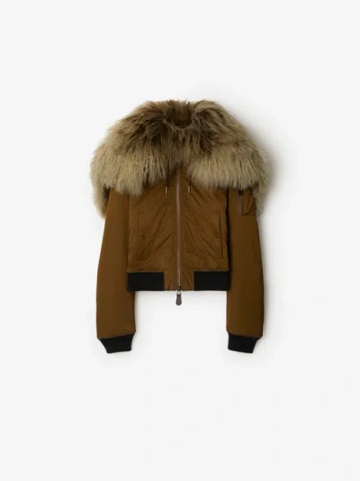 Burberry Nylon Blend Bomber Jacket In Bison