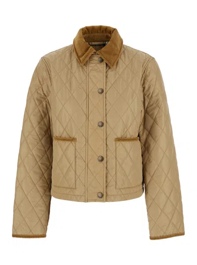 Burberry Oldham Beige Quilted Jacket With Corduroy Collar In Tech Fabric Woman In Neutral