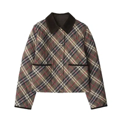 Pre-owned Burberry Oldham Check Quilted Jacket 'moss Brown/ink Grey' | Women's Size S