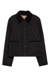 Burberry Check Lining Quilted Nylon Dorset Jacket Clothing In Black