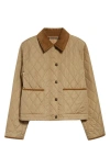 Burberry Oldham Beige Quilted Jacket With Corduroy Collar In Tech Fabric Woman In Brown