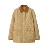 Burberry Dorset Quilted Nylon Jacket In Brown