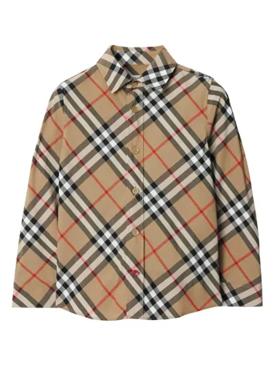 Burberry Owen Ls Esntl Shirt In Brown
