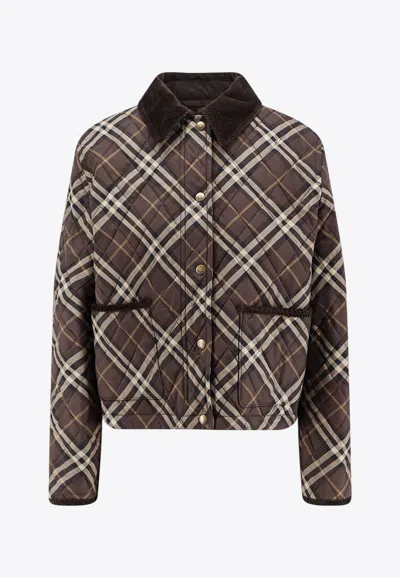 Burberry Padded Check Jacket In Brown