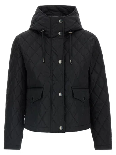 BURBERRY PEMBROKE JACKET