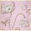 Burberry Poppy Silk Scarf In Dawn