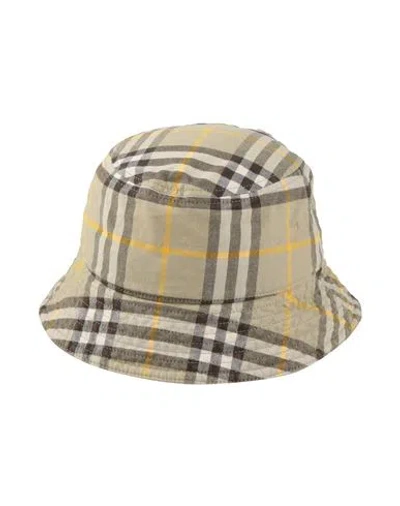 Burberry Prorsum Man Hat Sage Green Size L Cotton In Brown