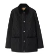 Burberry Women Quilted Thermoregulated Jacket In Black