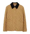 Burberry Giacca Trapuntata Con Colletto In Velluto In Brown