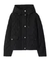 Burberry Cropped Quilted Nylon Hooded Jacket In Black