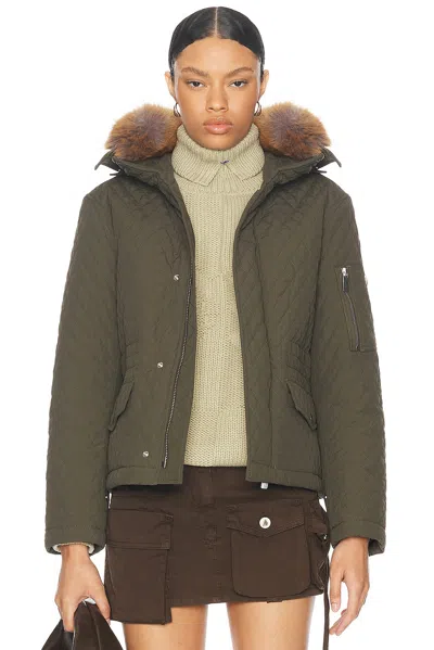 Burberry Quilted Jacket With Fur Hood In Loch