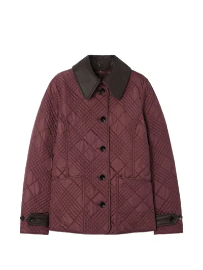Burberry Fernleigh Check Quilted Slim Jacket In Burgundy