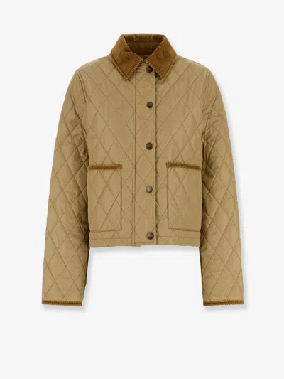 Burberry Padded Jackets With Corduroy Collar In Brown