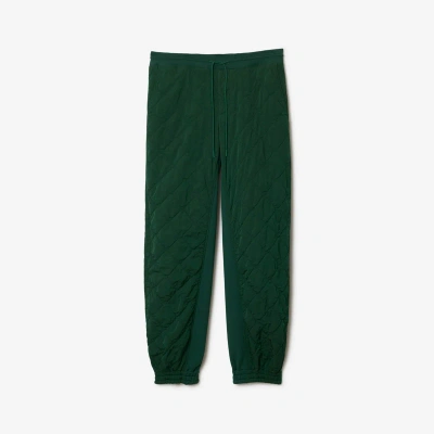 Burberry Quilted Nylon Jogging Pants In Ivy