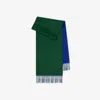 Burberry Reversible Cashmere Scarf In Green