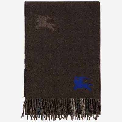 Burberry Reversible Cashmere Scarf In Snug
