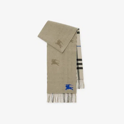 Burberry Reversible Check Cashmere Scarf In Lichen