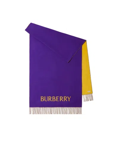 Burberry Rose-print Cashmere Scarf In Purple