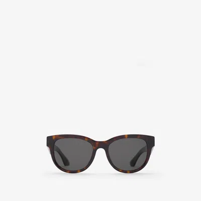 Burberry Round Sunglasses In Dark Havana