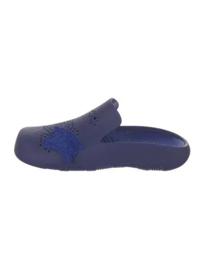 Pre-owned Burberry Rubber Mules In Blue