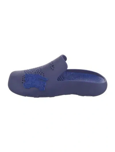 Pre-owned Burberry Rubber Slides In Blue