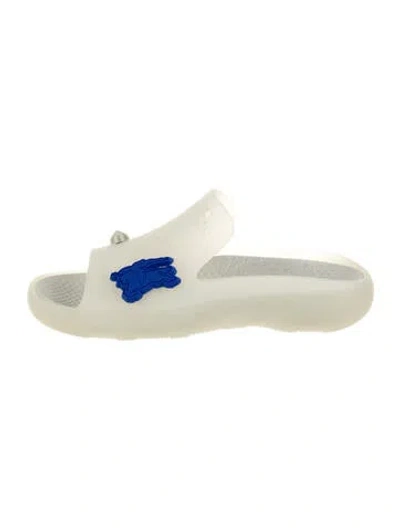 Pre-owned Burberry Rubber Slides W/ Tags In Neutral