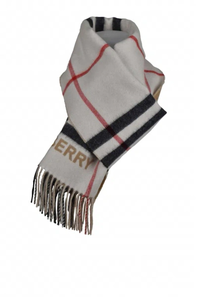 Burberry Scarf In Gray