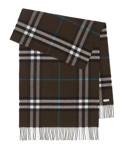 Burberry Scarf In Brown