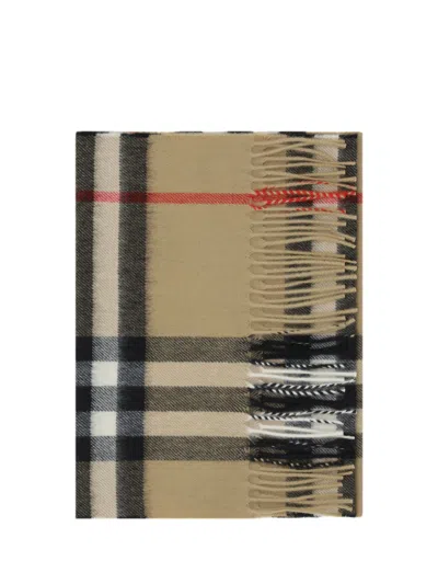 Burberry Scarf In Brown