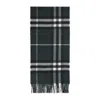 Burberry Scarf In Blue