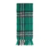 Burberry Scarf In Green