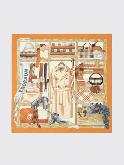 Burberry Scarf Men  In Brown