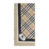 Burberry Scarf In Brown