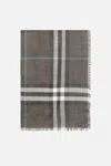 Burberry Scarves