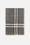 Burberry Scarves